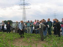Nitrat-AG Veranstaltung Maisfeld